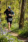 IMG_4647.jpg