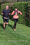 DSC 0367.jpg