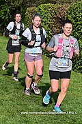 DSC 1011.jpg