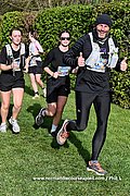 DSC 1237.jpg
