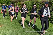 DSC 1238.jpg