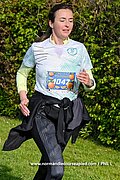 DSC 1296.jpg