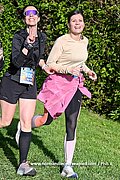 DSC 1325.jpg