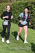 DSC 1337.jpg