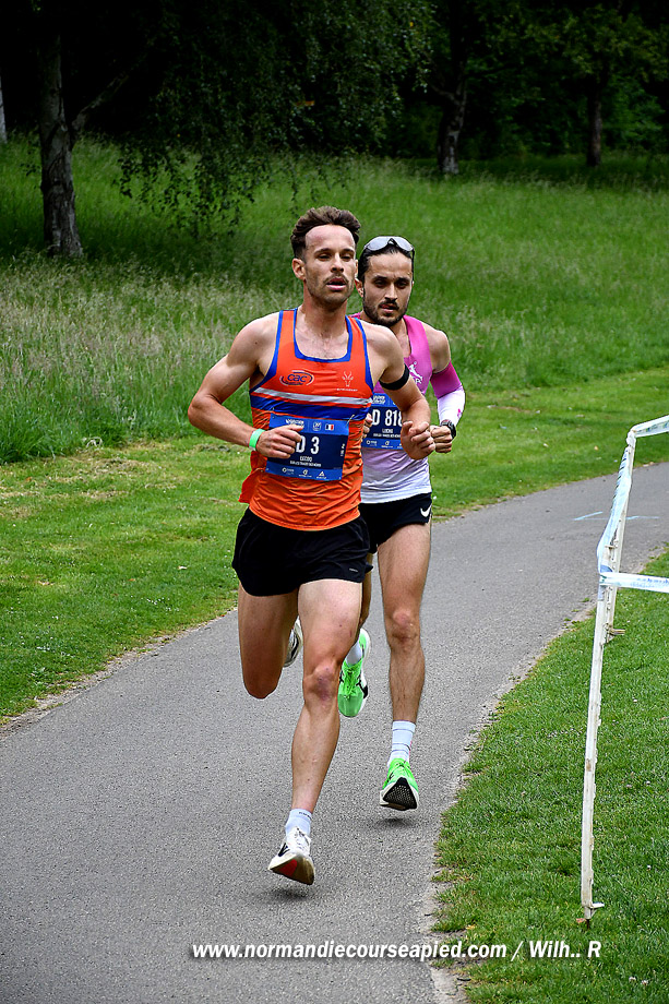 WR-DSC_6488.jpg
