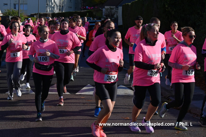 La Tourvillaise Rose