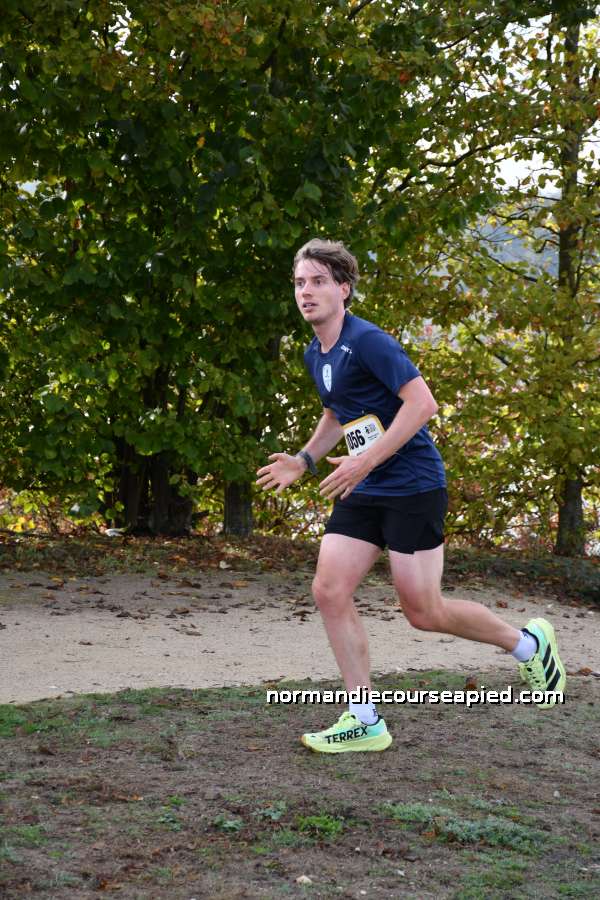 Trail du Loup Vert